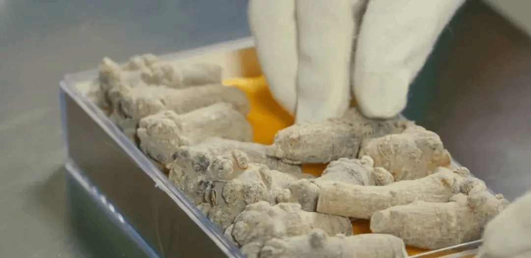 尊龙凯时【首页官网】人生就是博!