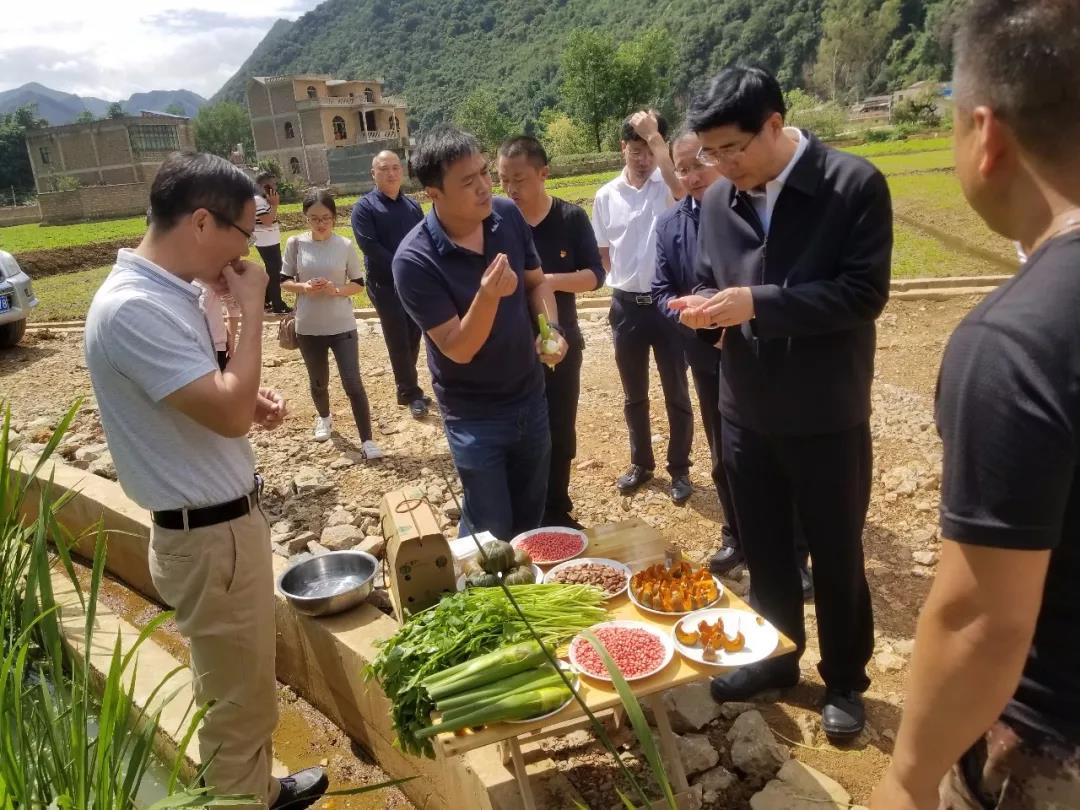 尊龙凯时【首页官网】人生就是博!