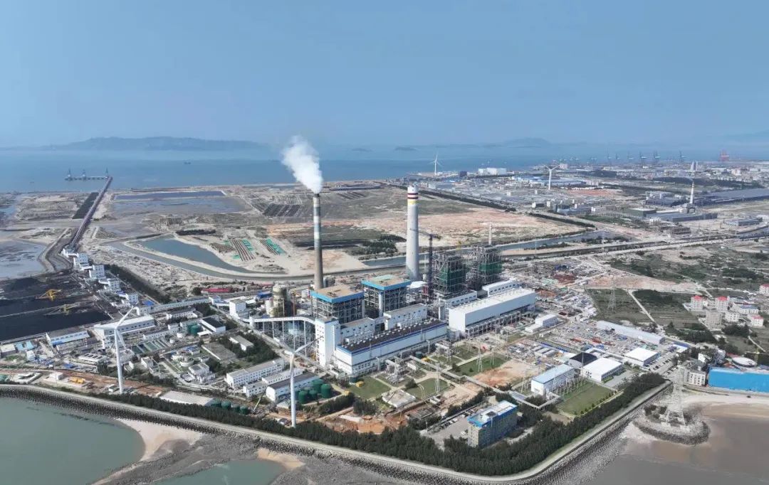 25B0C579772DC447B23DB204E91_56980616_21945.jpg?e=