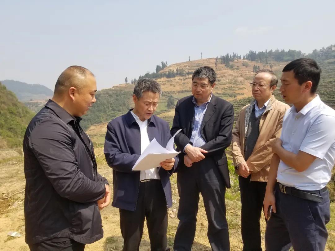 尊龙凯时【首页官网】人生就是博!